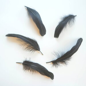 iS5{mubNntFU[p[c H H ޗ f | ANZT[ ԍ t[AWg nEB  _X ߑ RXv