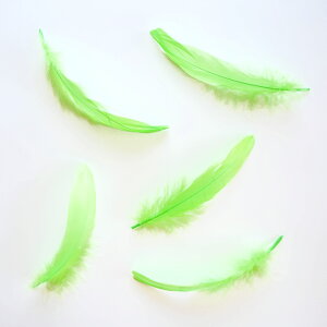 iS5{m`[g[XntFU[p[c H H ޗ f | ANZT[ ԍ t[AWg nEB  _X ߑ RXv