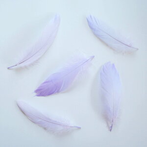 iS5{mx_[ntFU[p[c H H ޗ f | ANZT[ ԍ t[AWg nEB  _X ߑ RXv