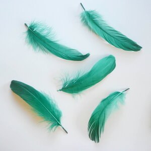 iS5{mO[ntFU[p[c H H ޗ f | ANZT[ ԍ t[AWg nEB  _X ߑ RXv