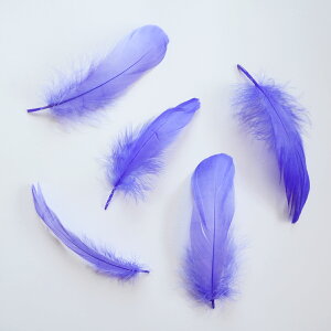 iS5{mp[vu[ntFU[p[c H H ޗ f | ANZT[ ԍ t[AWg nEB  _X ߑ RXv