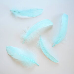 iS5{mANAu[ntFU[p[c H H ޗ f | ANZT[ ԍ t[AWg nEB  _X ߑ RXv