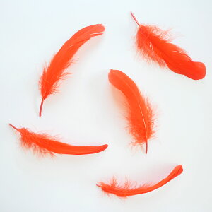 iS5{mIWntFU[p[c H H ޗ f | ANZT[ ԍ t[AWg nEB  _X ߑ RXv