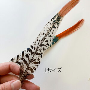 PC̉H tFU[p[c H H ޗ f | ANZT[ ԍ t[AWg nEB  _X ߑ RXv L炵 VR