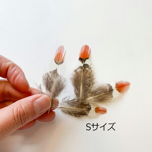 PC̉H tFU[p[c H H ޗ f | ANZT[ ԍ t[AWg nEB  _X ߑ RXv L炵 VR