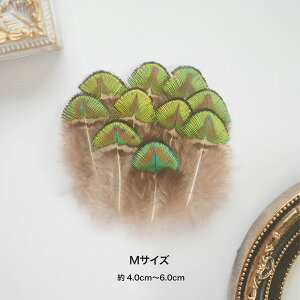 H tFU[ ES[h VR i` tFU[p[c H H ޗ f | ANZT[ ԍ t[AWg nEB  _X ߑ RXv