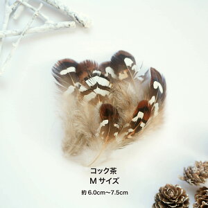 H VRtFU[p[c RECLW RbN RbN LWA[h H H ޗ f | ANZT[ ԍ t[AWg nEB  _X ߑ RXv