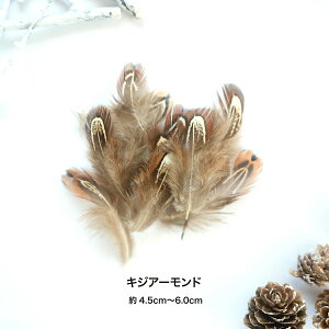 H VRtFU[p[c RECLW RbN RbN LWA[h H H ޗ f | ANZT[ ԍ t[AWg nEB  _X ߑ RXv