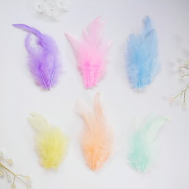 羽 フェザー ファンシーキャラ尾(2g) フェザーパーツ 羽根 羽毛 材料 素材 手芸 アクセサリー 花材 フラワーアレンジメント ハロウィン 仮装 ダンス 衣装 コスプレ