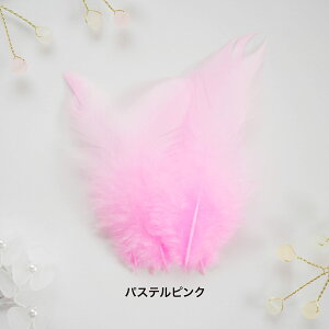 H tFU[ t@V[L(2g) tFU[p[c H H ޗ f | ANZT[ ԍ t[AWg nEB  _X ߑ RXv