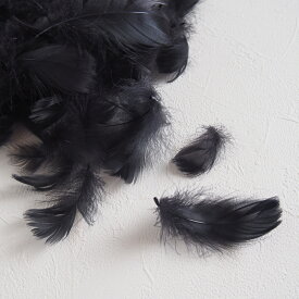 コキール1g入り［ブラック］フェザーパーツ 羽根 羽毛 材料 素材 手芸 アクセサリー 花材 フラワーアレンジメント ハロウィン 仮装 ダンス 衣装 コスプレ