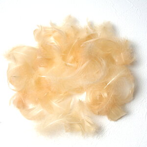 RL[1gmVintFU[p[c H H ޗ f | ANZT[ ԍ t[AWg nEB  _X ߑ RXv