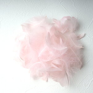 RL[1gmxr[sNntFU[p[c H H ޗ f | ANZT[ ԍ t[AWg nEB  _X ߑ RXv