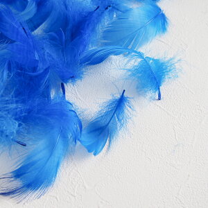 RL[1gmu[ntFU[p[c H H ޗ f | ANZT[ ԍ t[AWg nEB  _X ߑ RXv