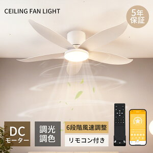 �y�V�i�o��z�V�[�����O�t�@�� �V�[�����O�t�@�����C�g �t�@���t�����C�g LED DC���[�^�[ �������F �k�� ������� �V�[�����O���C�g 8��10�� 12�� �����R���t�� �� LED ��@ �Ɩ���� �V���