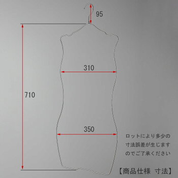 ハンガービキニ下着水着用SMW-05R-35クロームメッキ1本横幅35cmプロ仕様レディースブラジャーショーツランジェリー日本製省スペースコンパクト
