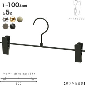 ボトムハンガー ハンガー スカート ズボン用 すべらない BS-451R クロームメッキ/ゴールド/黒つや消し塗装/アンティークゴールド/ピューター 1本〜100本セットプロ仕様 クリップスライド不可跡がつかない レトロ 収納 おしゃれ インテリア 雑貨 ハンガーのタヤ