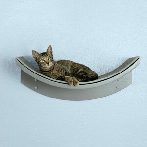 �yRefined Kind�z�L���b�g�^���[�@�A�����JRefined Feline ���t�@�C���h�t�B�[���C���@���[�^�X���[�t�L���b�g�V�F���t�@�X���[�N�y�N���[�[�b�g�@�˂��^���[�@�n�����b�N�@�˂��J�t�F�@�L�J�t