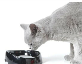 【SAVIC】ベルギーからおしゃれなペット用品が日本上陸！ベルギーサヴィッチ社製 水飲みウォーターボウル　ウィスカーウォーター【ネコトイレ　猫トイレ　ハウス　ベッド】※カラーはお任せでお願いします。