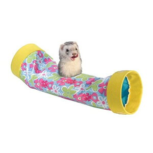 yMarshalPetzMarshalpet}[Vybg tFbgpgl@RlNgvCtFbg`[uyrbg@nX^[@tFbg@@@P[W@o[hP[Wz