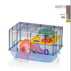 yC^AIMACz{㗤IC^AnX^[P[WVoIC^AIMACА@nX^[P[W@NZbeB9y@rbg@nX^[@tFbg@z