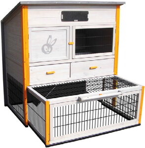 lCiēׂ܂yhCcKARLIEzȂǂ̉OprbgP[WłIrbgP[W@X[Aj}P[W@WASCO CARTOON 90 y@rbg@@@