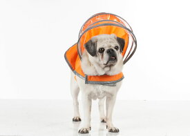 【PushPushi】PushPushiライトニングラインドッグレインコート　セーフティオレンジ　XLサイズ【おでかけ　お散歩　リフレクター　旅行　アウトドア　雨の日　台風　大型犬　超大型犬】