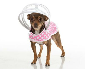 yPushPushizJ[IPushPushiphWp[ChbOCR[g@zCg|Jhbg×sN@TCTCYył@U@hCu@s@AEghA@J@^@