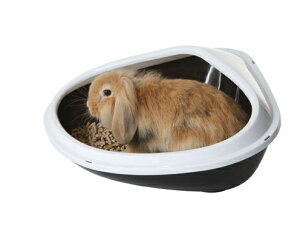 傫̃gCɁI^TCYySAVICzxM[炨ȃybgpi{㗤IxM[TBb`А@rbggC@R`@XLTCYy@tFbg@