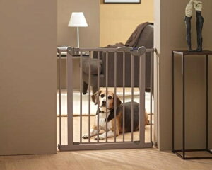 l܂I75Z`ySAVICzxM[炨ȃybgpi{㗤IxM[TBb`@ybgpQ[g@hbOoA[hA75@O[WyQ[g@P[W@T[