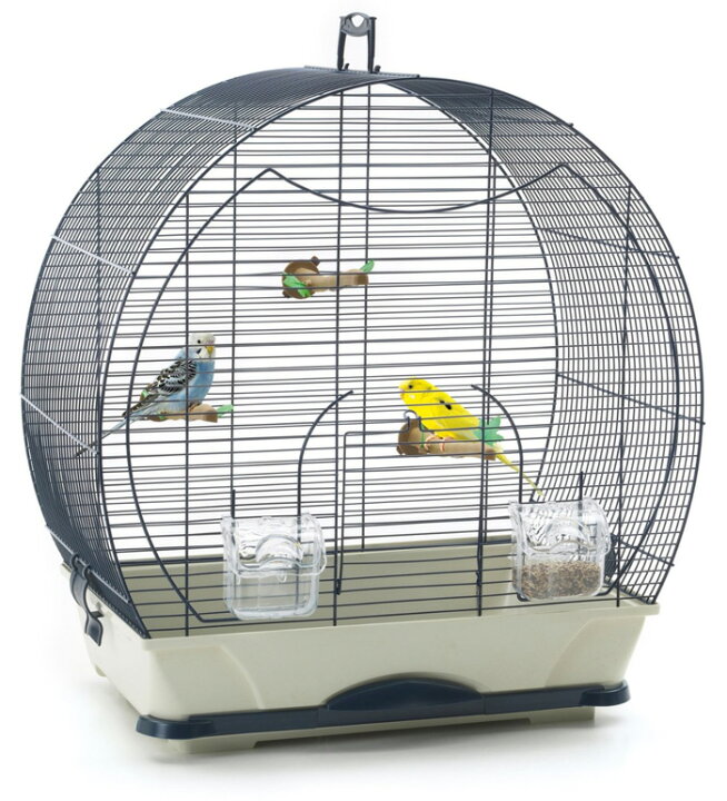 楽天市場 丸くてかわいいです 網部がネイビーでおしゃれです Savic ベルギーからおしゃれな ペット用品が日本上陸 ベルギーサヴィッチ社製カナリア インコ用ケージセット エブリン40 Navy Blue うさぎ フェレット ハムスター バード ケージ 小動物ケージ Hangon 楽天市場 丸くてかわいいです 網部がネイビーでおしゃれです Savic ベルギーからおしゃれな ペット用品が日本上陸 ベルギーサヴィッチ社製カナリア インコ用ケージセット エブリン40 Navy Blue うさぎ フェレット ハムスター バード ケージ 小動物ケージ Hangon