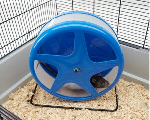 ēׂ܂I񂵎ԁIySAVICzxM[炨ȃybgpi{㗤IxM[TBb`А@nX^[zC[@Ir^@[Wu[y@tFbg@