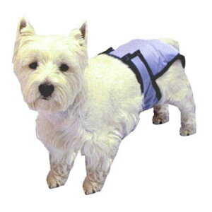 yPoochPadzpIcJo[@v[`pbh@v[`pc XXLTCY