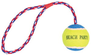 yhCcTRIXIEzhCcTRIXIE@p@4ނ̂ႪZbgɂȂZbg f^t@vCOgCZbg yAEghA@hCu@ł@hbOz