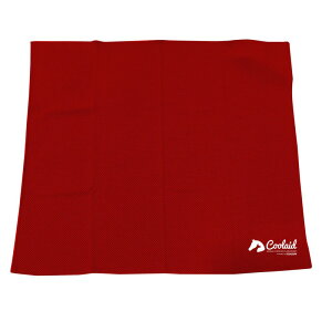 yAJcoolaidzN[ObY@AJcoolaidЁ@CoolcoreN[OJ[@N[P[iCo_i@SM@bhyЂN[ObY@N[J[@MǑ΍z