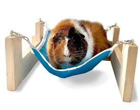 【アメリカKAYTEE】スタンド付ハムスターハンモック　Hammock with Stand 【うさぎ　ラビット　ハムスター　フェレット　小動物】