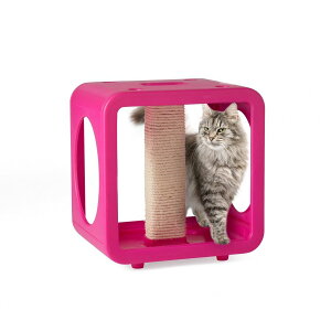 yKITTYKASASzDȌ`ƃJ[őgݍ킹\ȃLbg^[@LeBJ[TLbgW@sN