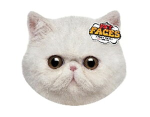 �y�C�M���XROSEWOOD�z �y�b�g�p�� ROSEWOOD PET FACES - EXOTIC CAT�G�L�]�`�b�N�L���b�g