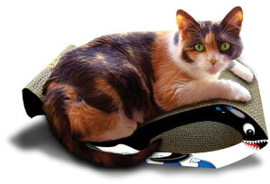 yImperialCatzLp܂Ƃ CyALbg ImperialCat AJ܂Ƃ NW ubN S yL^[@܂Ƃ@vC{bNX@lR^[@lRgC@˂JtF@LJtF@lR