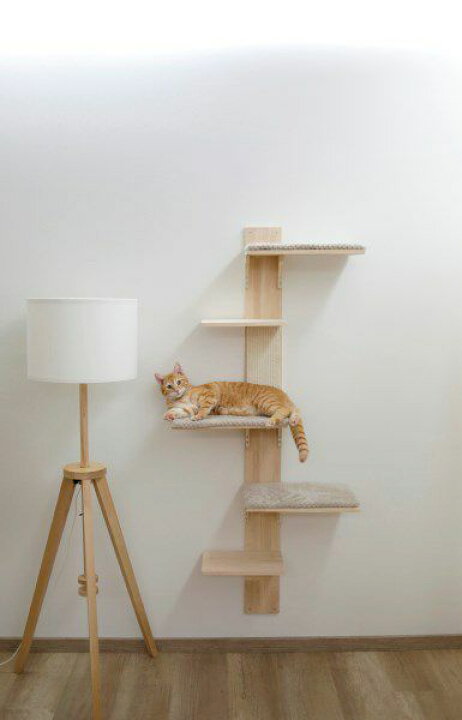 ご予約です 12月下旬から1月中旬予定です ドイツkerbl社キャットタワー キャットハウス House Lodge Ontario 73 Cat 77 50 X Cm ロッジオンタリオ ご予約です 12月下旬から1月中旬予定です ドイツkerbl社キャットタワー キャットハウス House Lodge Ontario 73 Cat 77 50 X Cm ロッジオンタリオ