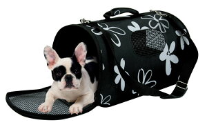 ȊAAAytXZOLUXztXɓ{㗤Ip L[obO tXZOLUX ybgL[t[ LTCY ybg L[ P[X 