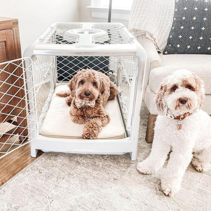第一ネット 高級感あり おしゃれでかっこいい 犬ケージ アメリカdiggs Pet 折りたたみペットケージ レボルクレートs Revol Crate アッシュ Fucoa Cl
