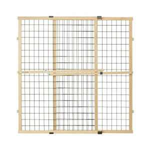 tOȒPIyAJNORTHSTATESz1953Nlƃybĝ߂̏iĂ郁ChCUSAuhIp ybgQ[g NORTHSTATES m[XXeCc GNXgg[Ch