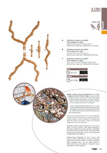 �y�C�^���AIMAC�z���{���㗤�I�C�^���A����o�[�h�P�[�W���V�o��I�C�^���AIMAC�А��@�o�[�h�P�[�W�p�~�܂�؃Z�b�g�@RAMO�y�������@�o�[�h�P�[�W�@�������@���P�[�W�z