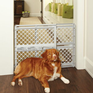 sv@ԐlCݒuOƂĂȒPIyAJNORTHSTATESz1953Nlƃybĝ߂̏iĂ郁ChCUSAuhIm[XXeCc@ybgoA@Cg