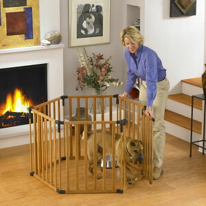 肵ؐT[N&Q[głIyAJNORTHSTATESz1953Nlƃybĝ߂̏iĂ郁ChCUSAuhIm[XXeCc@3C1EbhvC[h@yQ[g