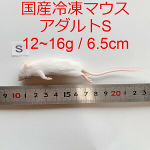 Y Ⓚ}EX A_gS 10C hangteng