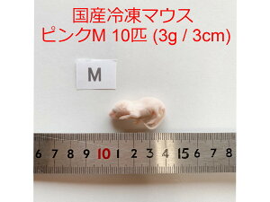 エサ ピンクマウス 爬虫類の人気商品 通販 価格比較 価格 Com