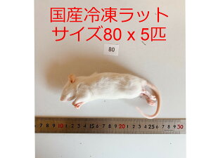 カエル エサ 爬虫類の人気商品 通販 価格比較 価格 Com