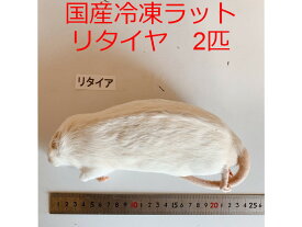 【期間限定30％オフ】まとめ買いクーポン 冷凍ラット 4L 2匹 国産 爬虫類 猛禽類 肉食魚 哺乳類 ヘビ トカゲ ハリネズミ